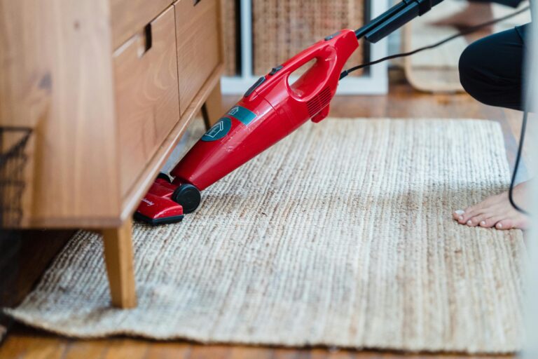 Best Carpet Cleaner for Cat Urine: Top Solutions